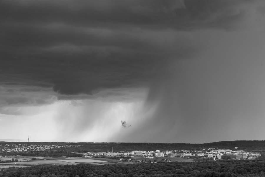 D75_2278.jpg