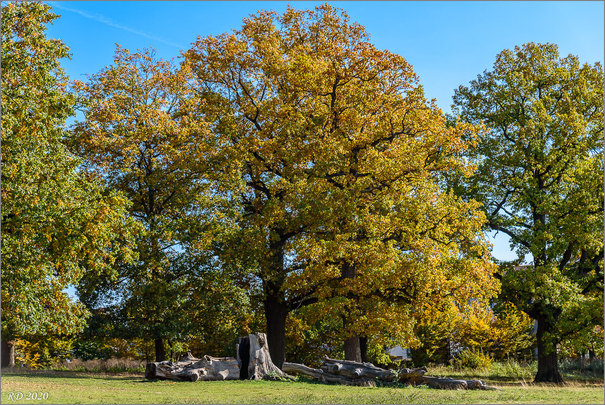 D75_2589.jpg
