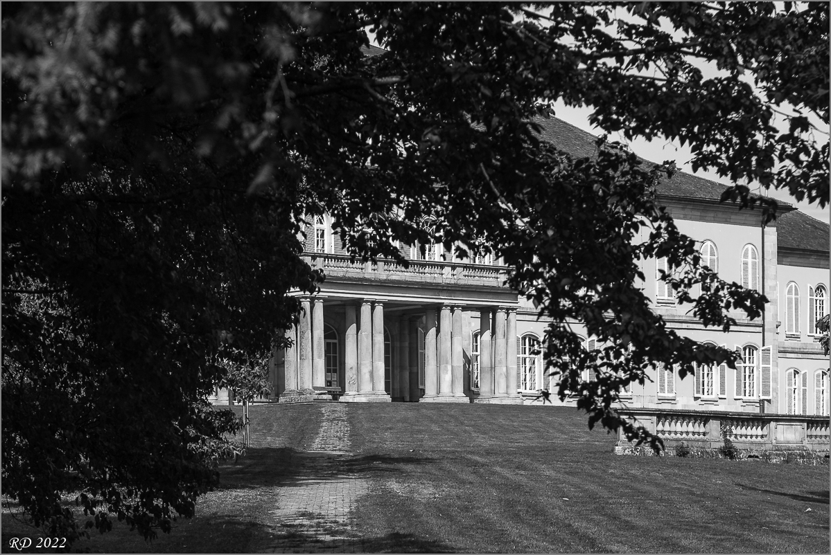 D75_2617.jpg