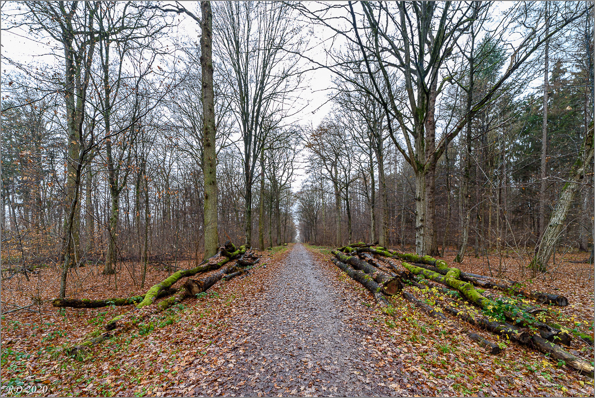 D75_2807.jpg
