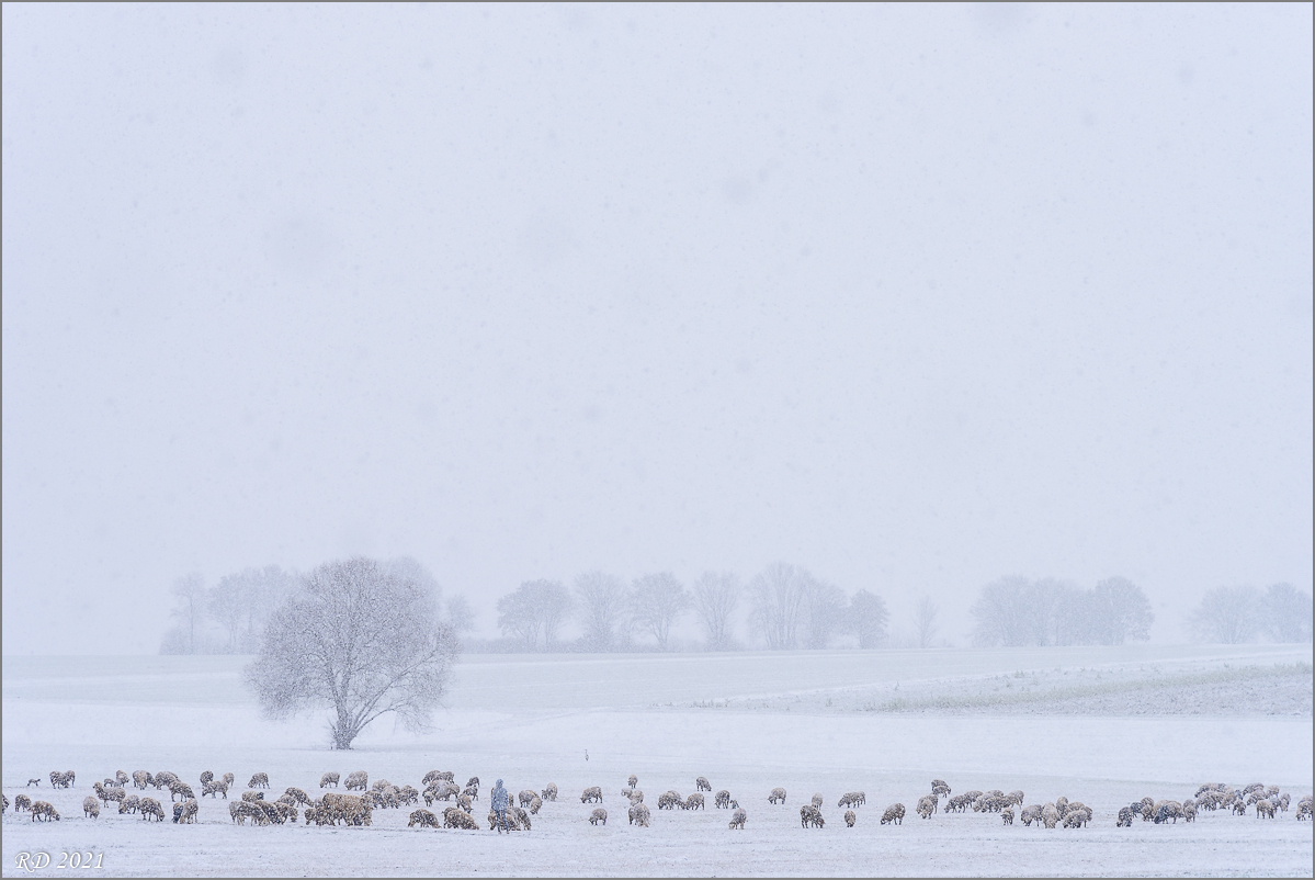 D75_2862.jpg