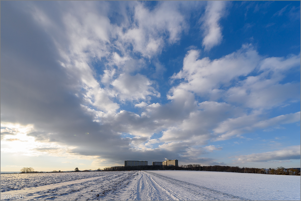 D75_2932.jpg