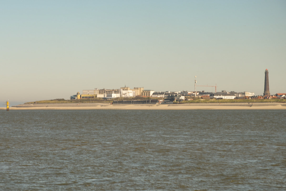 D75_2935.jpg