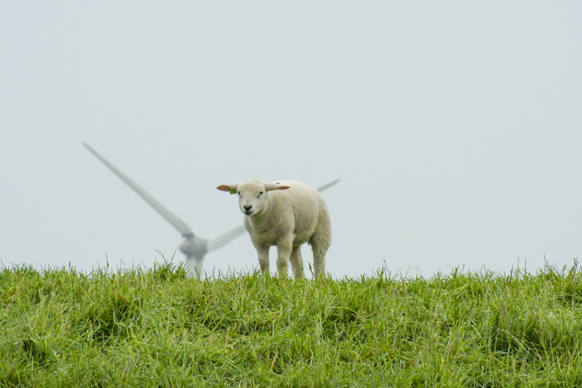 D75_3099.jpg