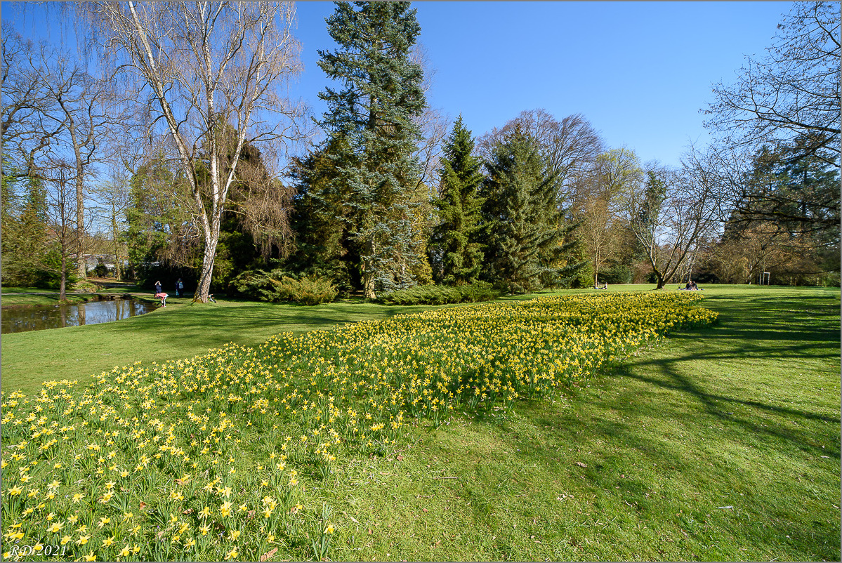 D75_3121.jpg