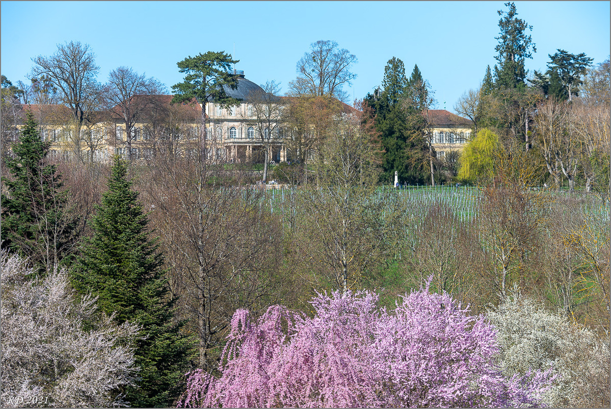 D75_3128.jpg
