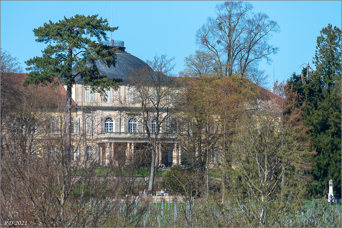 D75_3129.jpg