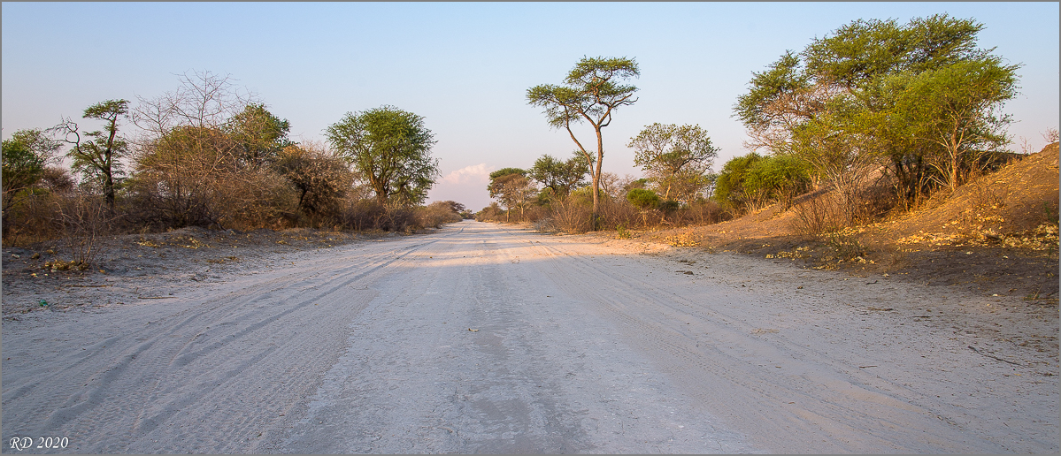D75_3267.jpg