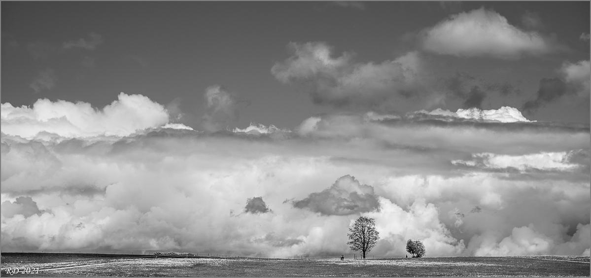 D75_3300-2.jpg