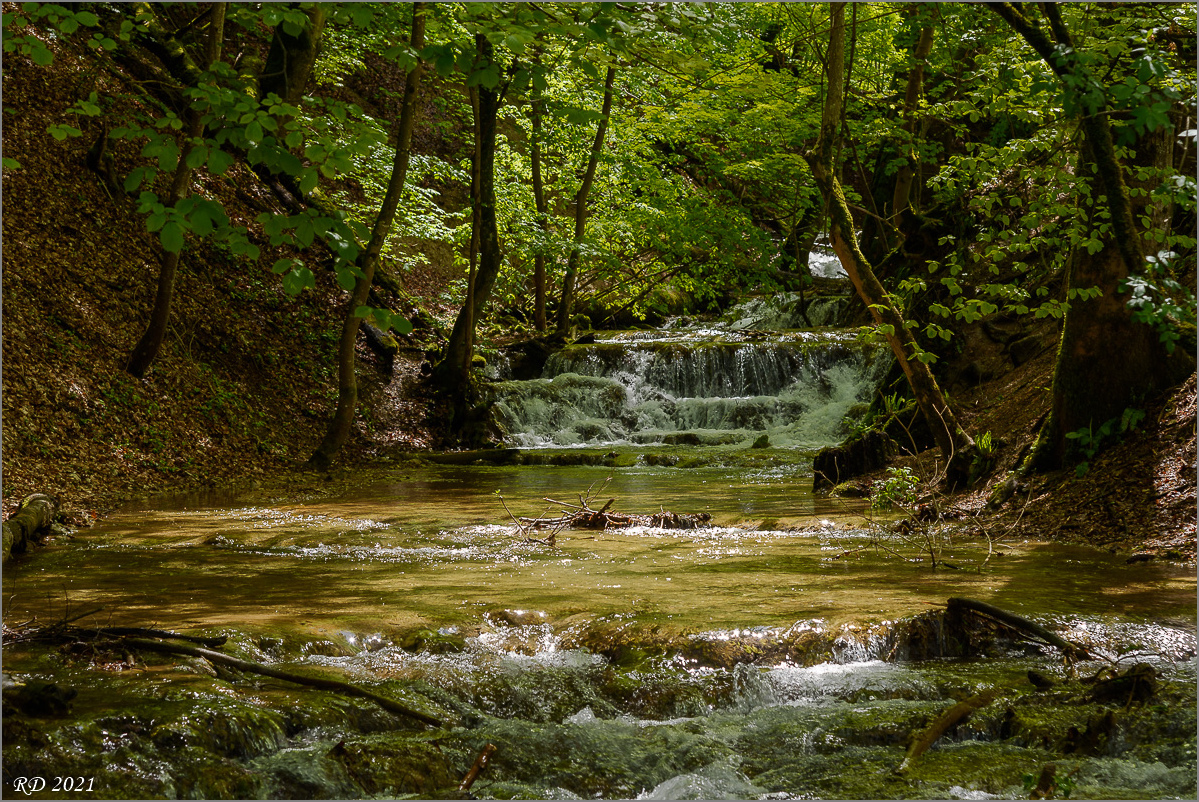 D75_3449.jpg