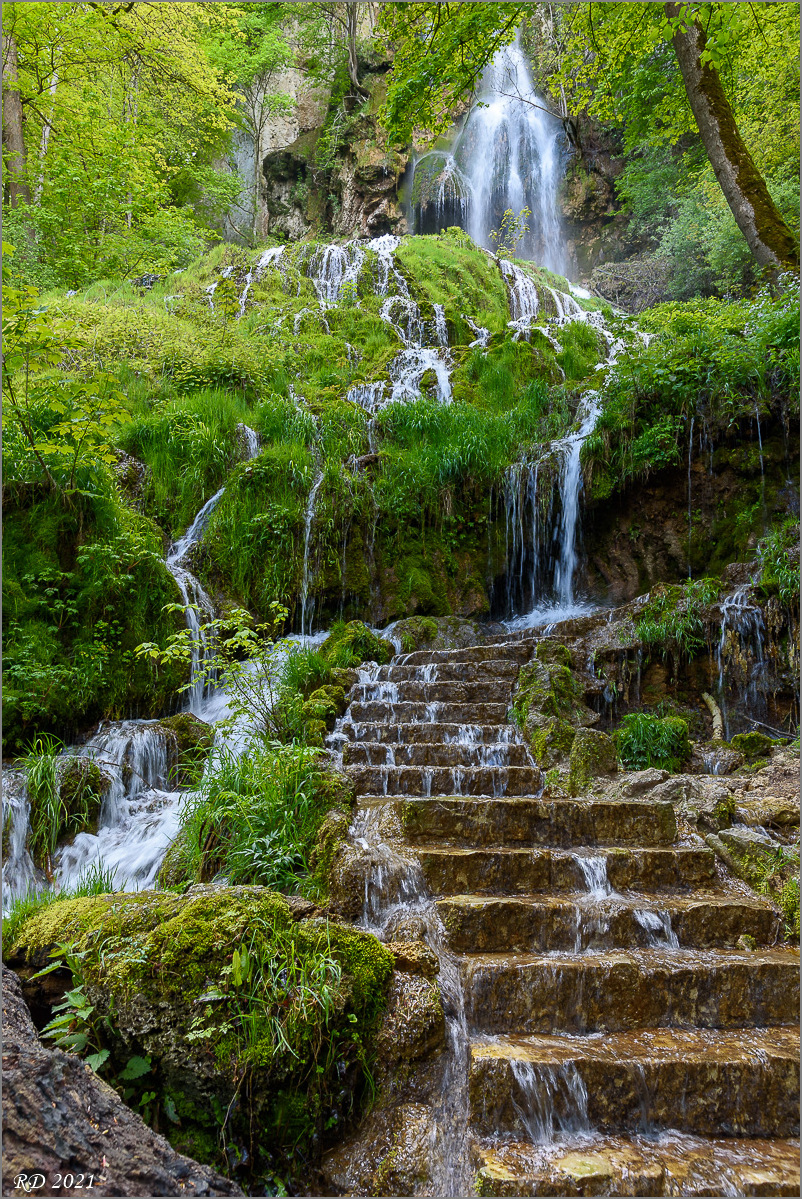 D75_3477.jpg
