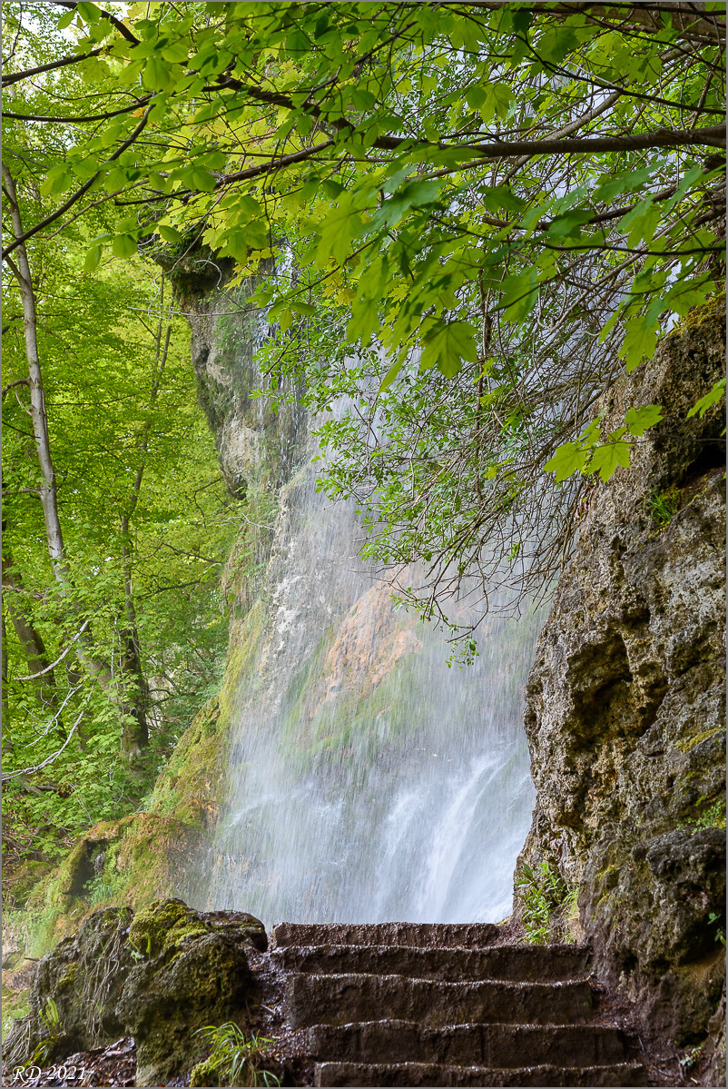 D75_3483.jpg