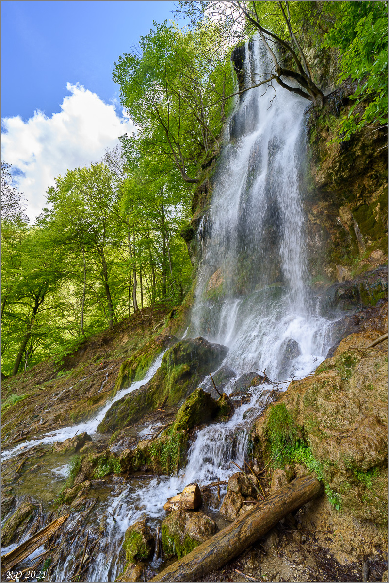 D75_3486-2.jpg