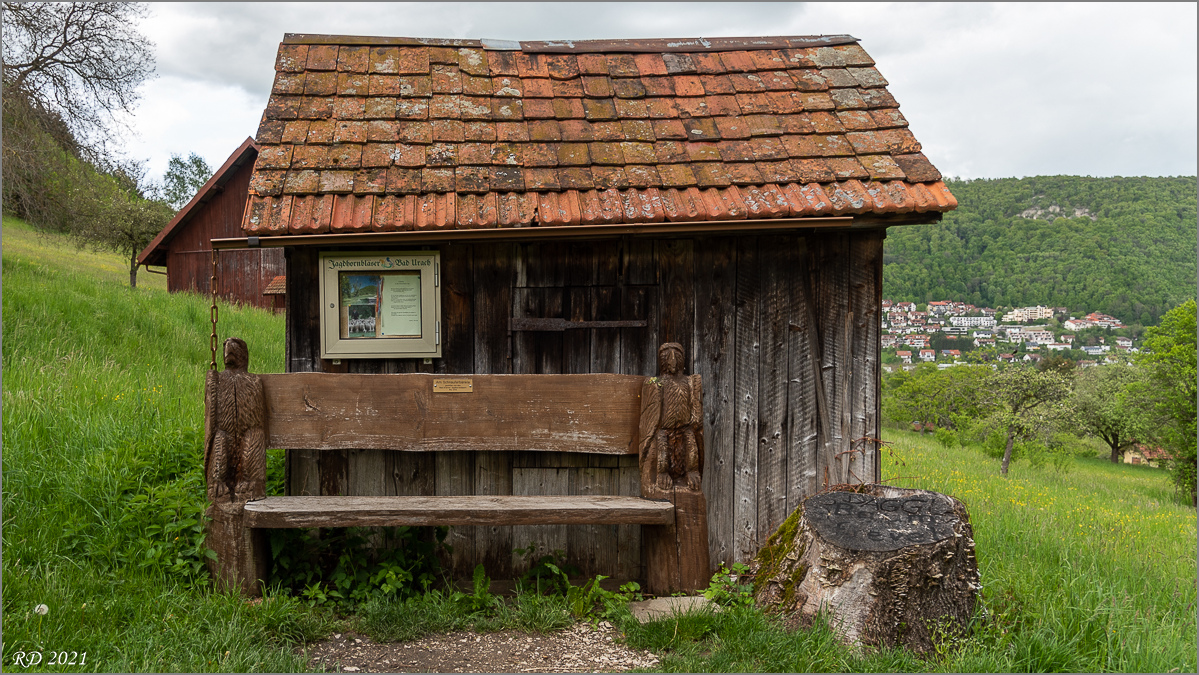 D75_3528.jpg