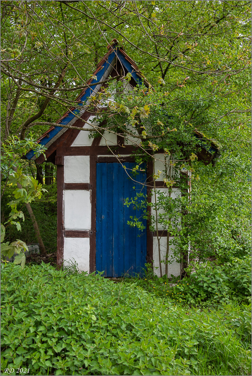 D75_3531.jpg