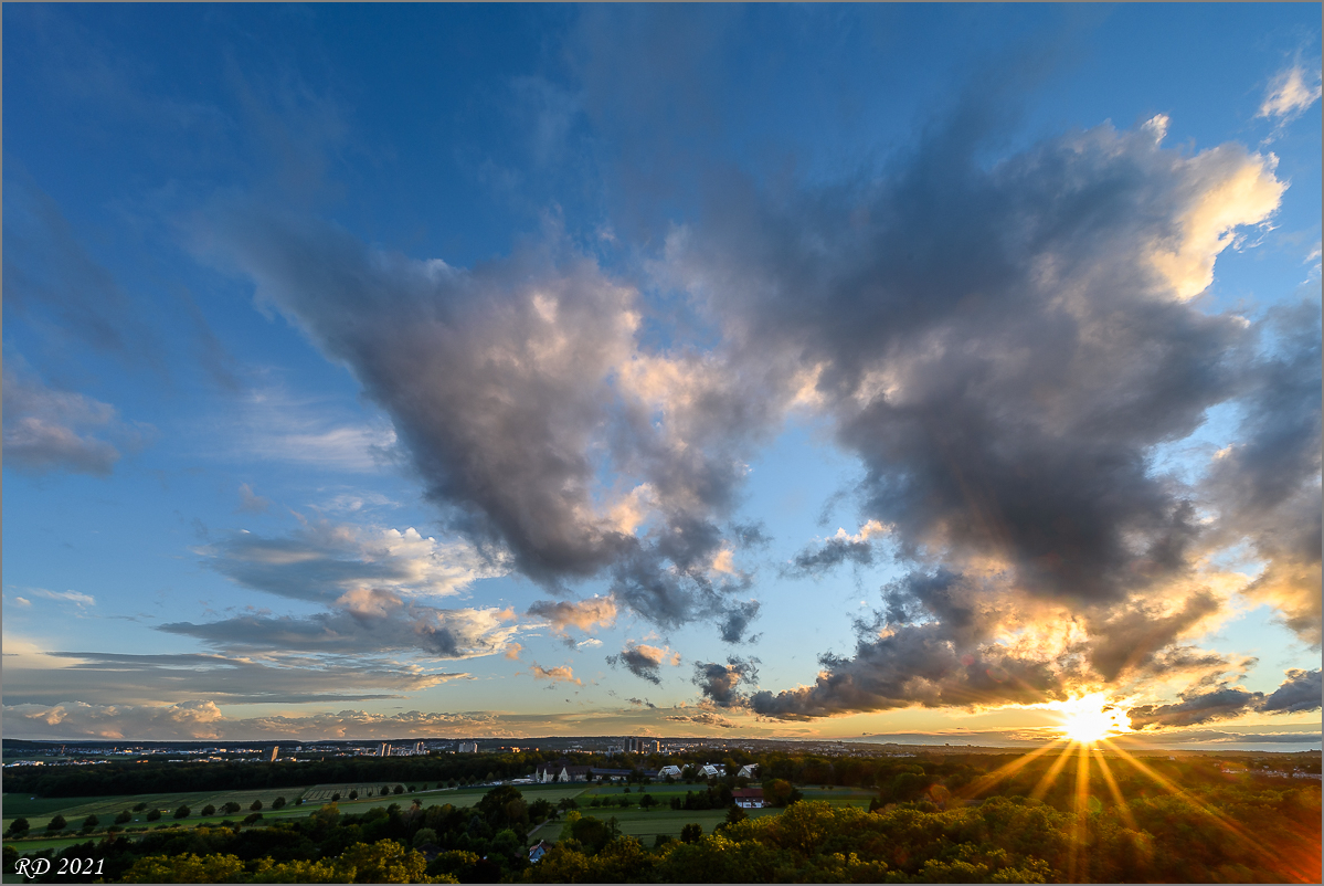 D75_3593.jpg