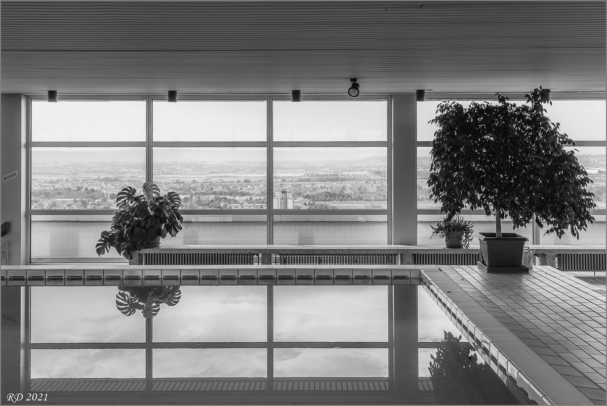 D75_3777.jpg