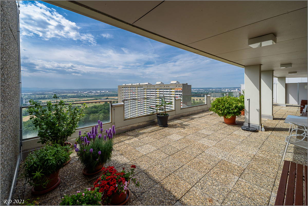 D75_3793-2.jpg