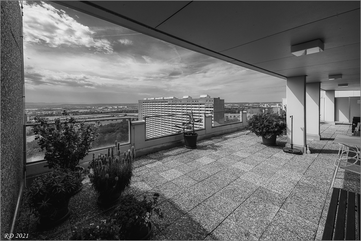 D75_3793.jpg