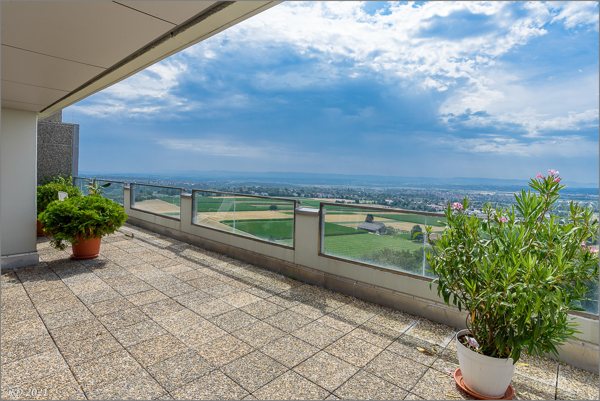 D75_3798-2.jpg