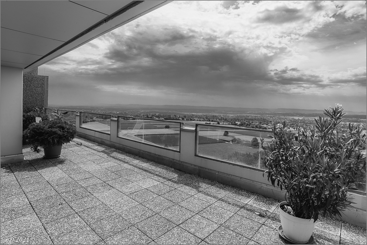 D75_3798.jpg