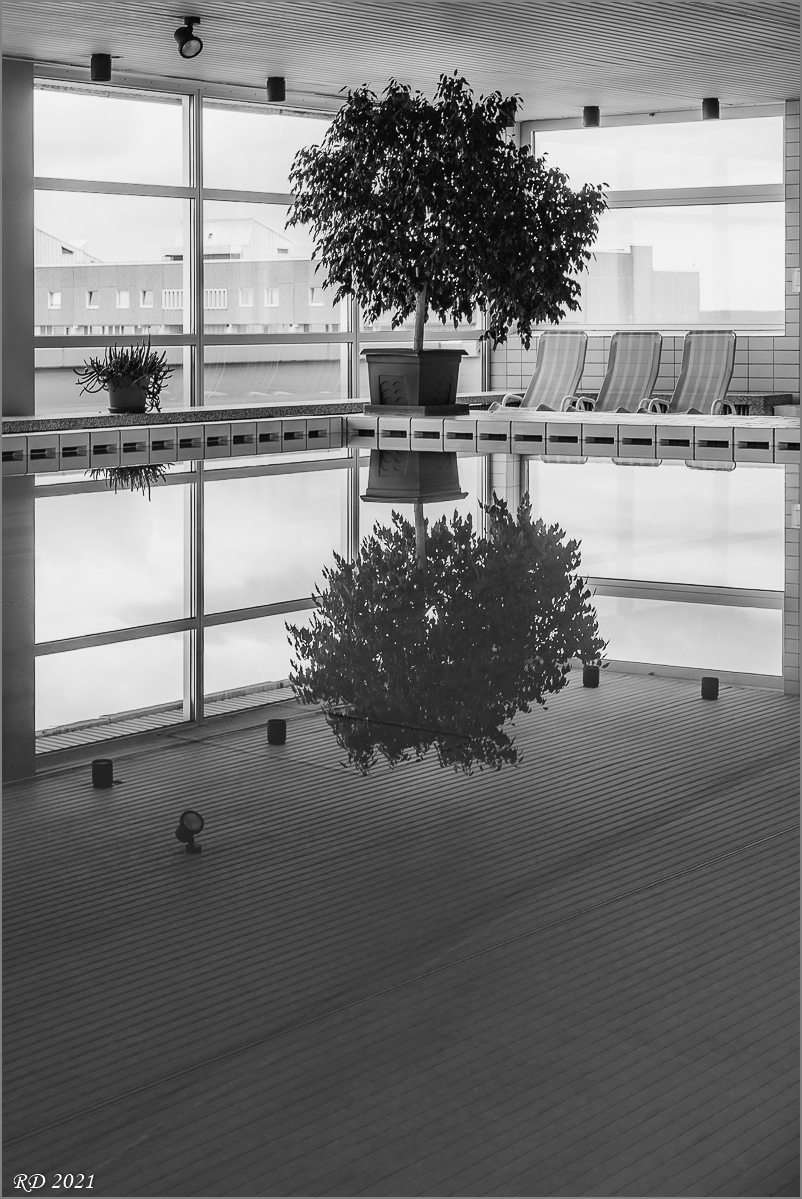D75_3836.jpg