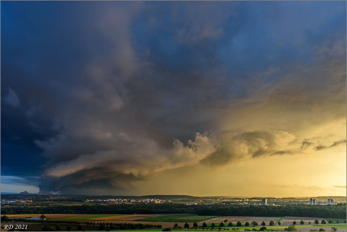 D75_3851.jpg