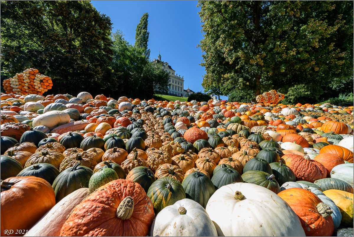 D75_4857.jpg