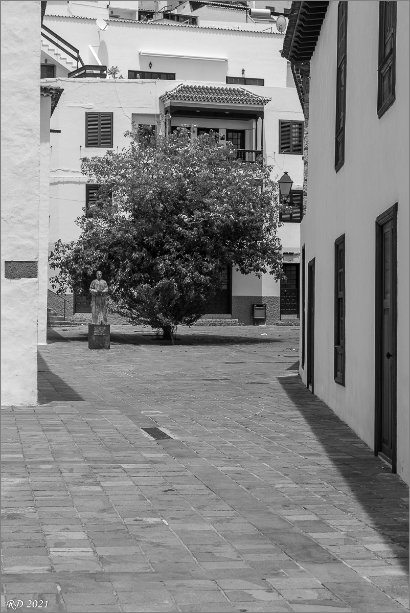 D75_6090.jpg