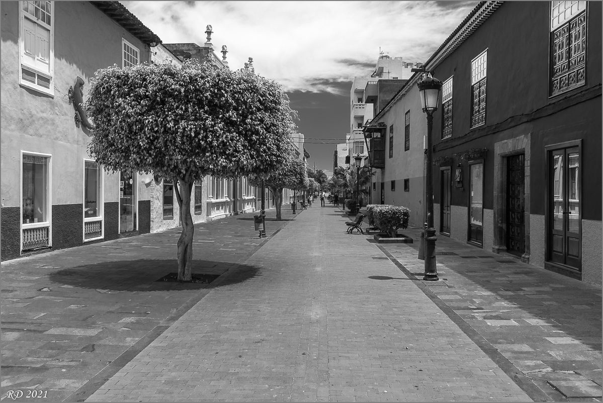 D75_6091.jpg