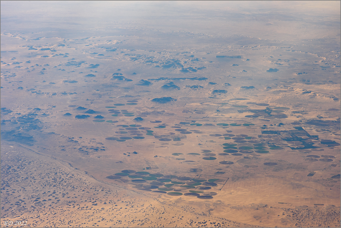 D75_6426.jpg