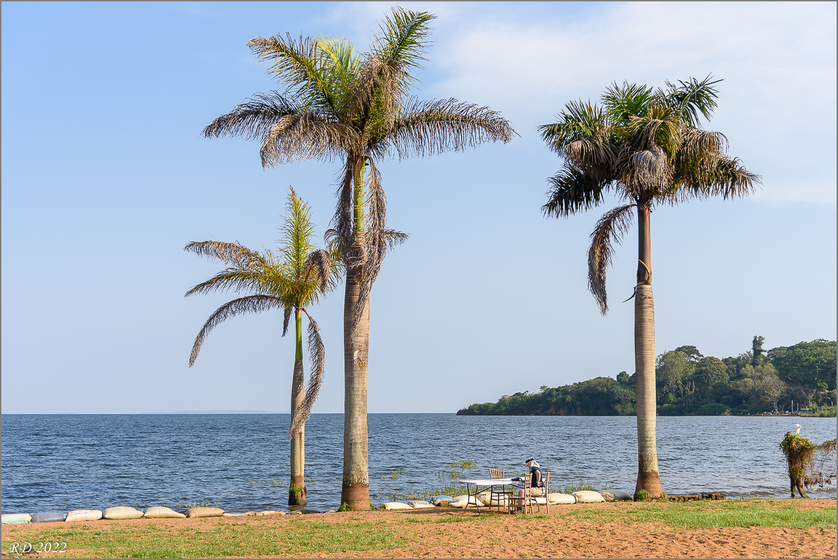 D75_6454.jpg