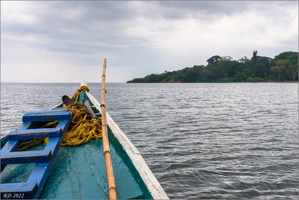 D75_6460.jpg