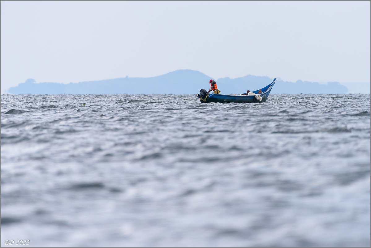 D75_6495.jpg