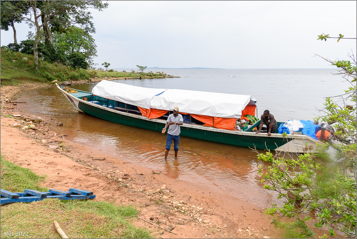 D75_6516.jpg