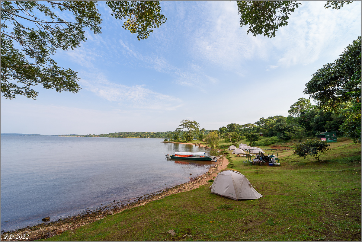 D75_6527.jpg