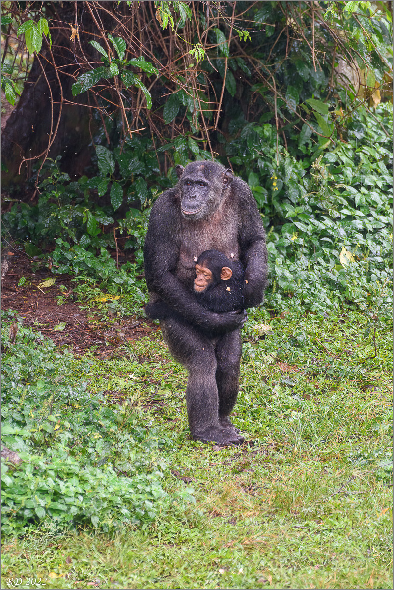D75_6570-Bearbeitet.jpg