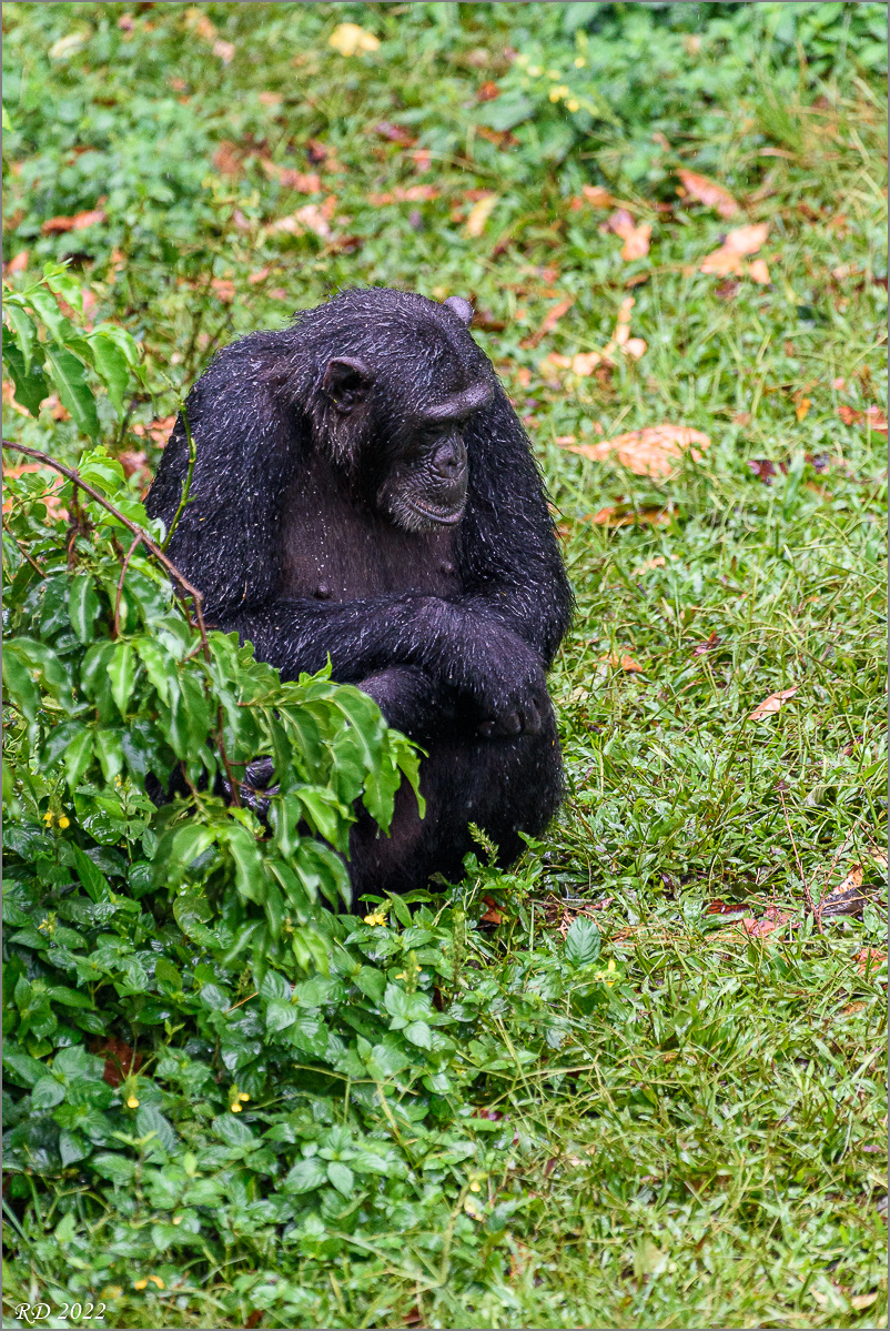 D75_6580.jpg