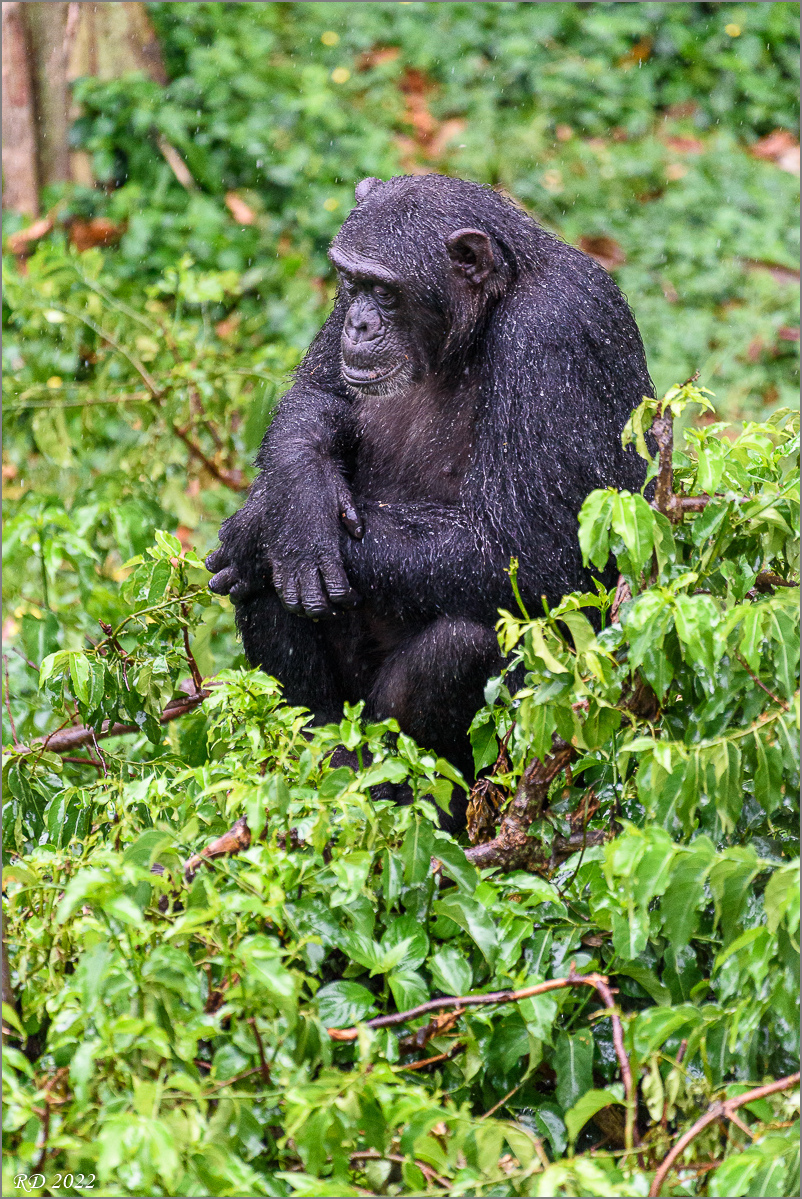 D75_6586.jpg
