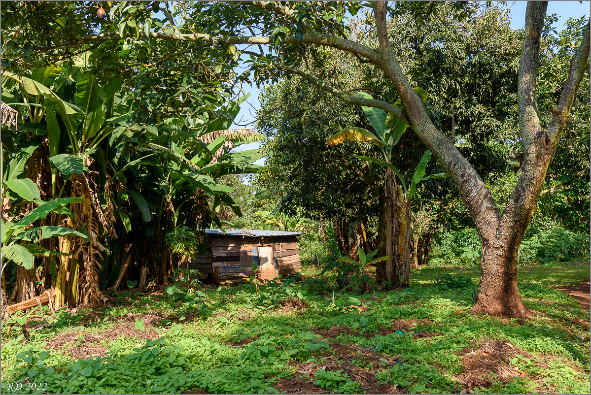 D75_6642.jpg
