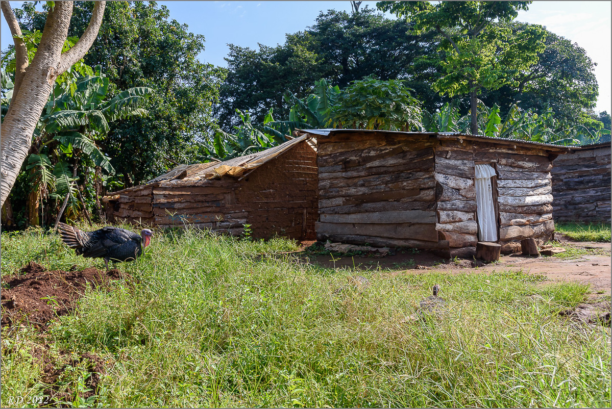 D75_6645.jpg