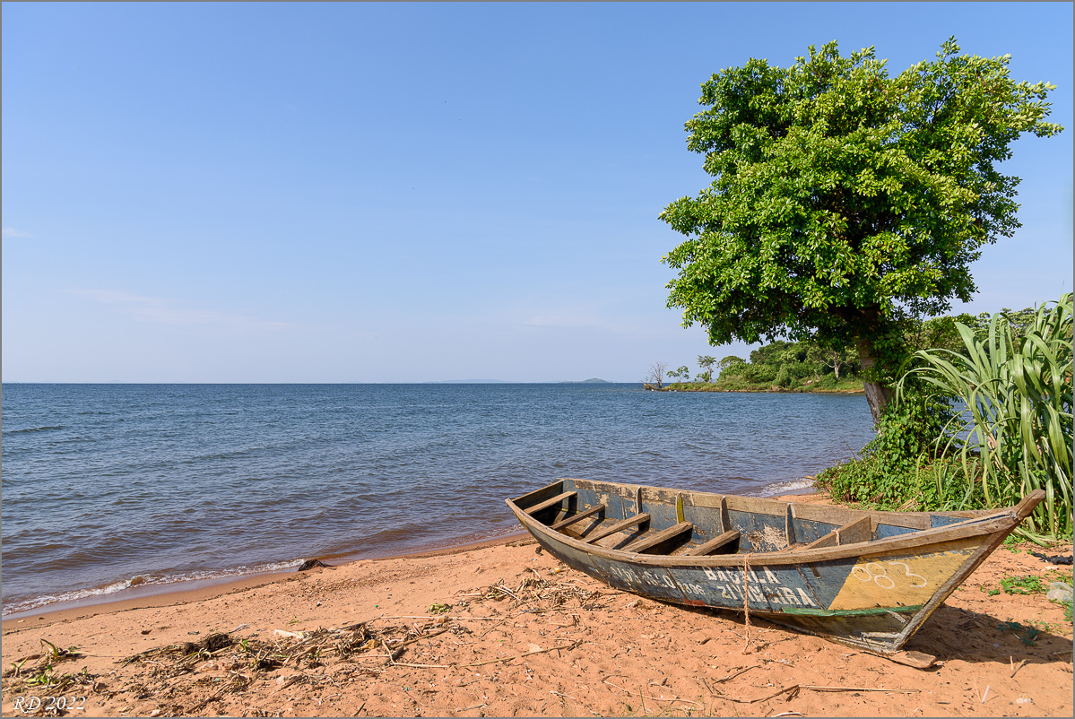 D75_6648.jpg