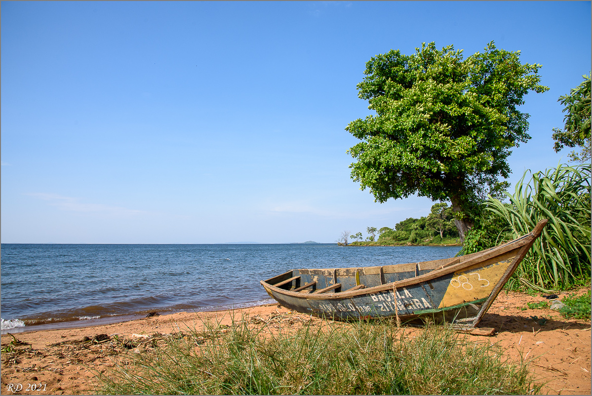 D75_6650.jpg