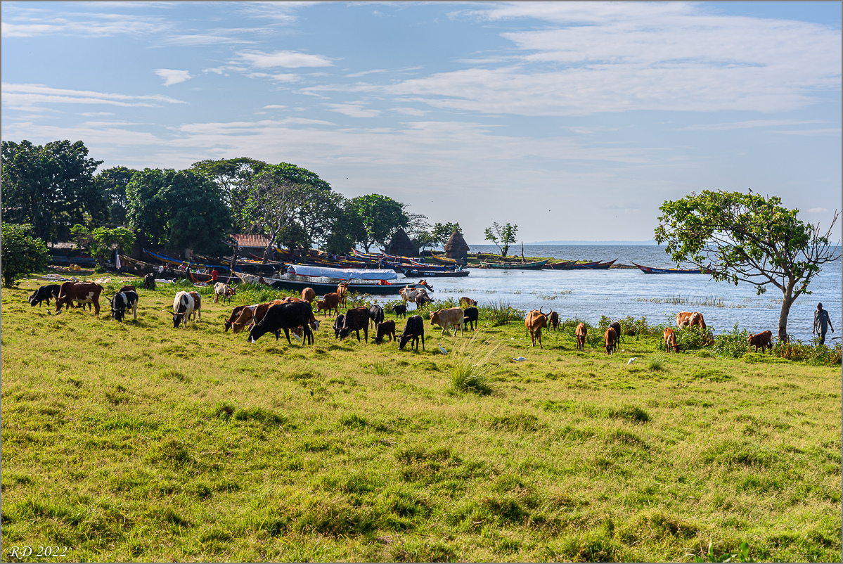 D75_6654.jpg