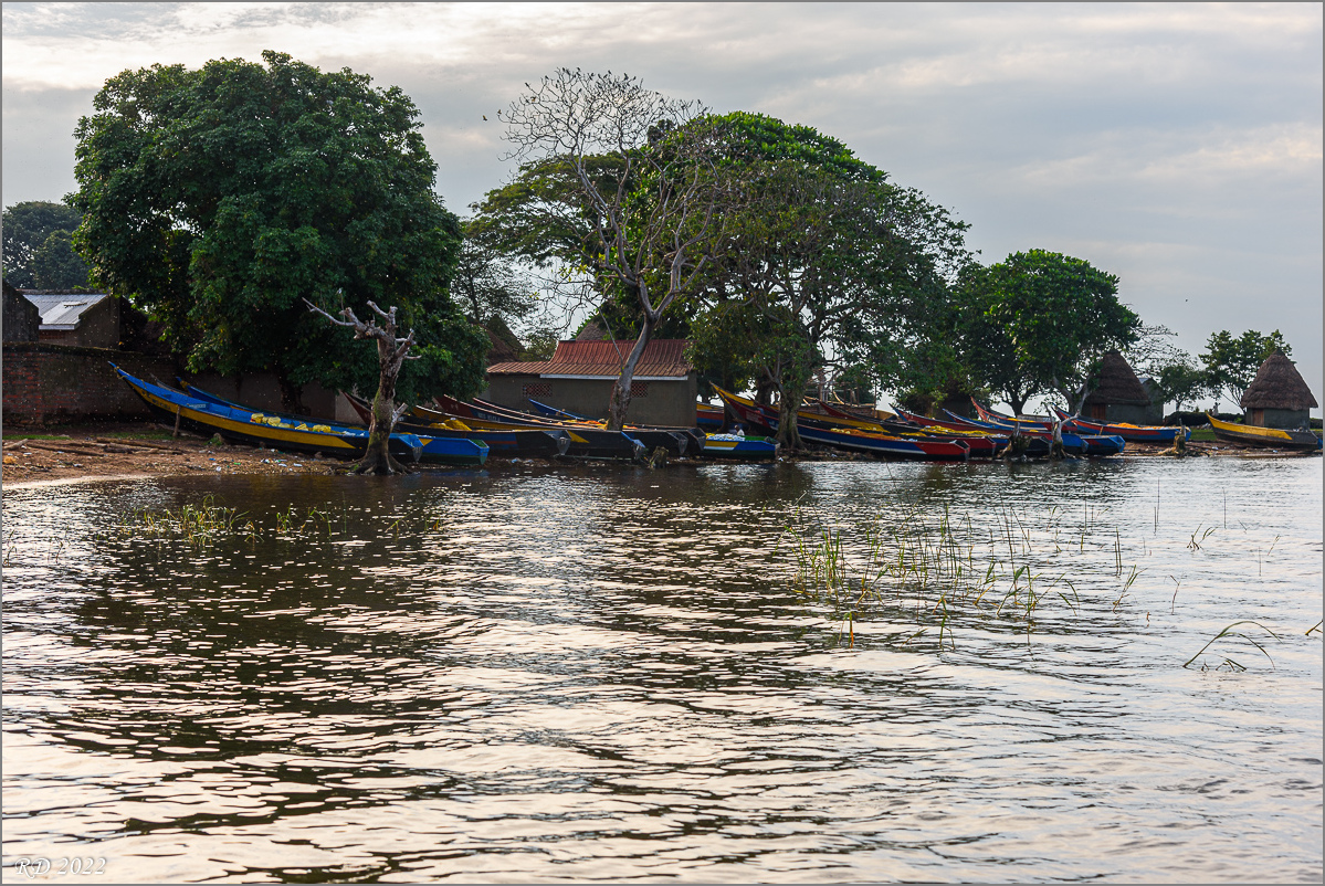 D75_6692.jpg