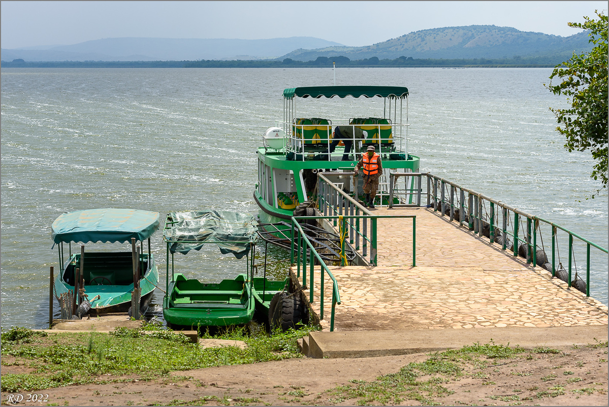 D75_6938.jpg