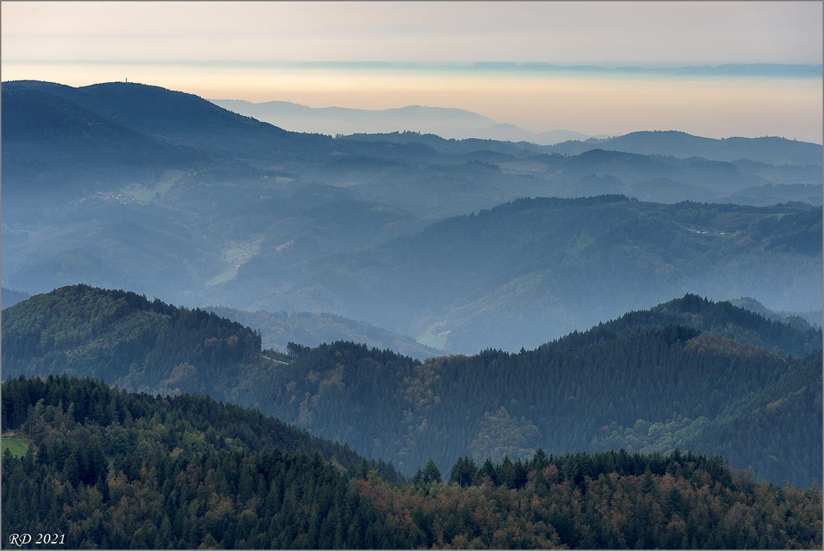 D75_6959.jpg