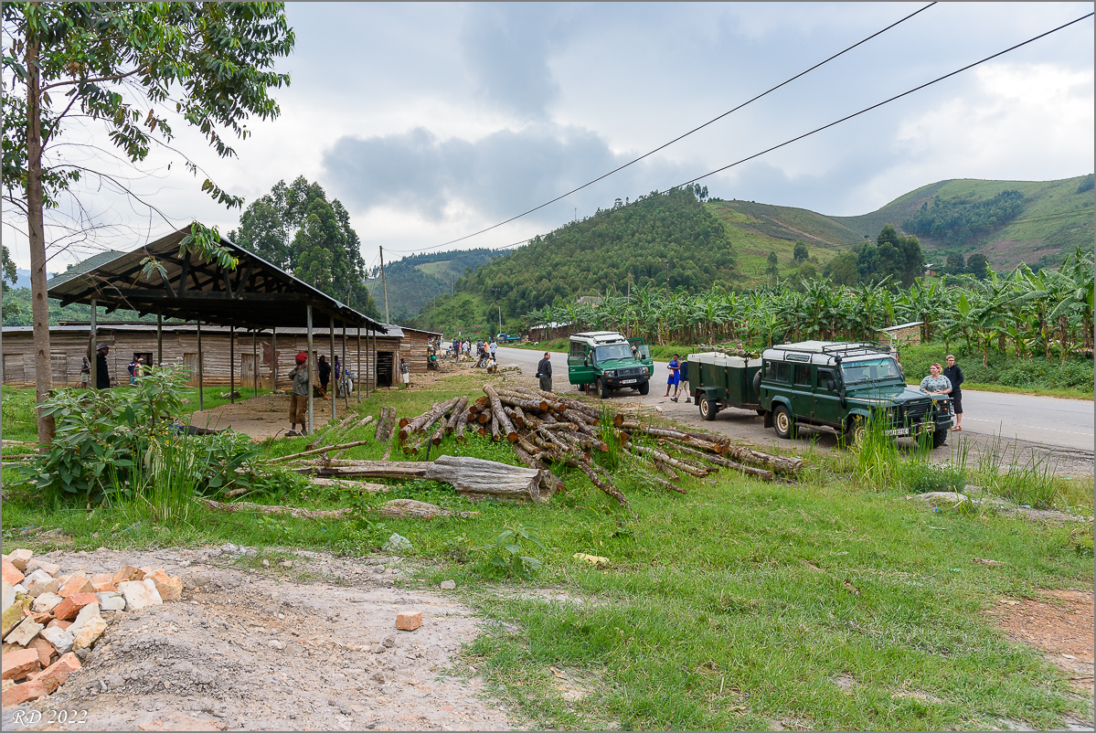 D75_7096.jpg