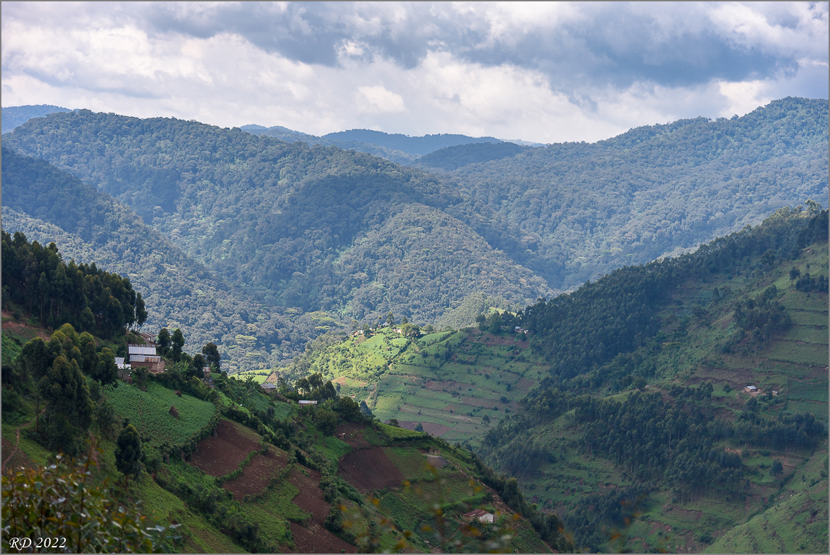 D75_7158.jpg