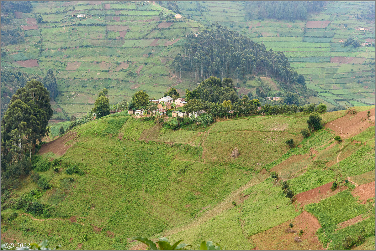 D75_7159.jpg